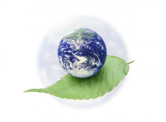 5 atitudes sustentáveis para cidadãos globais conscientes