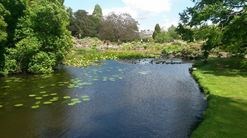 Botanic Garden | Viver em Cambridge, Inglaterra | Foto: arquivo pessoal