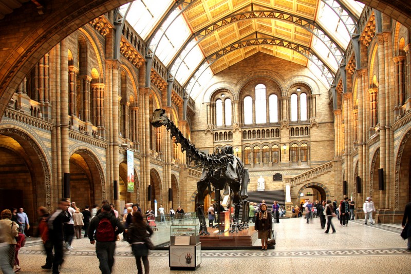Natural History Museum | Londres, Inglaterra