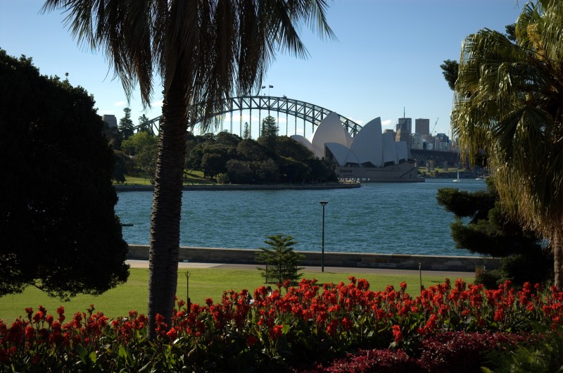 Botanic Garden | Sydney, Austrália | Foto: Luke Foley