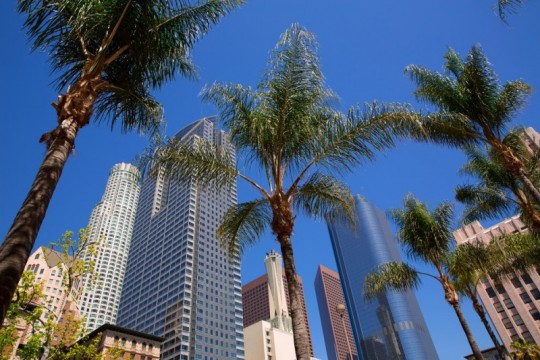 8 motivos para fazer um intercâmbio em Los Angeles