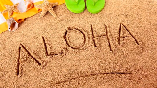 Global Village Honolulu: diga aloha ao seu intercâmbio no Havaí!